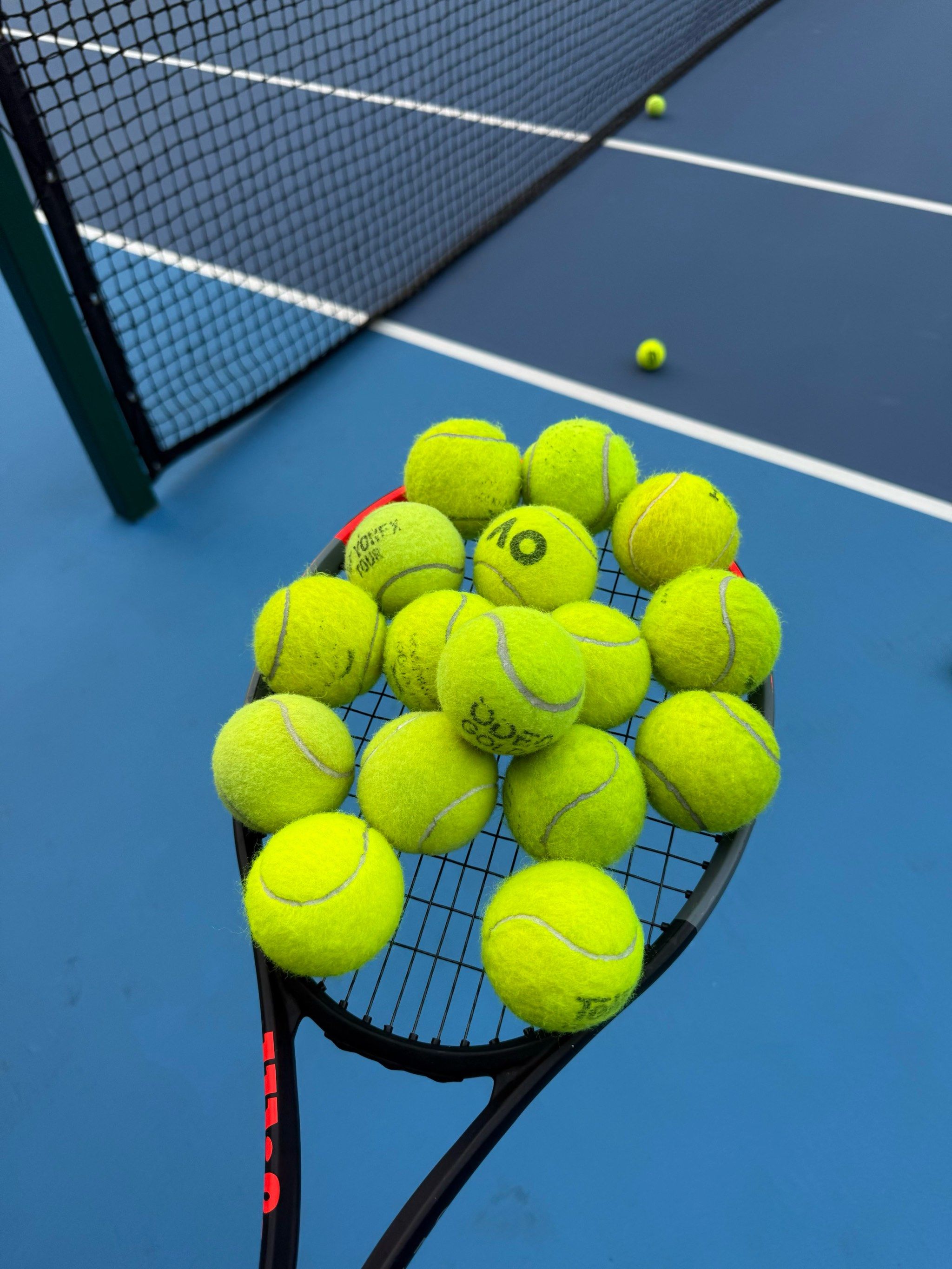 亚基的支持 亚基的支持