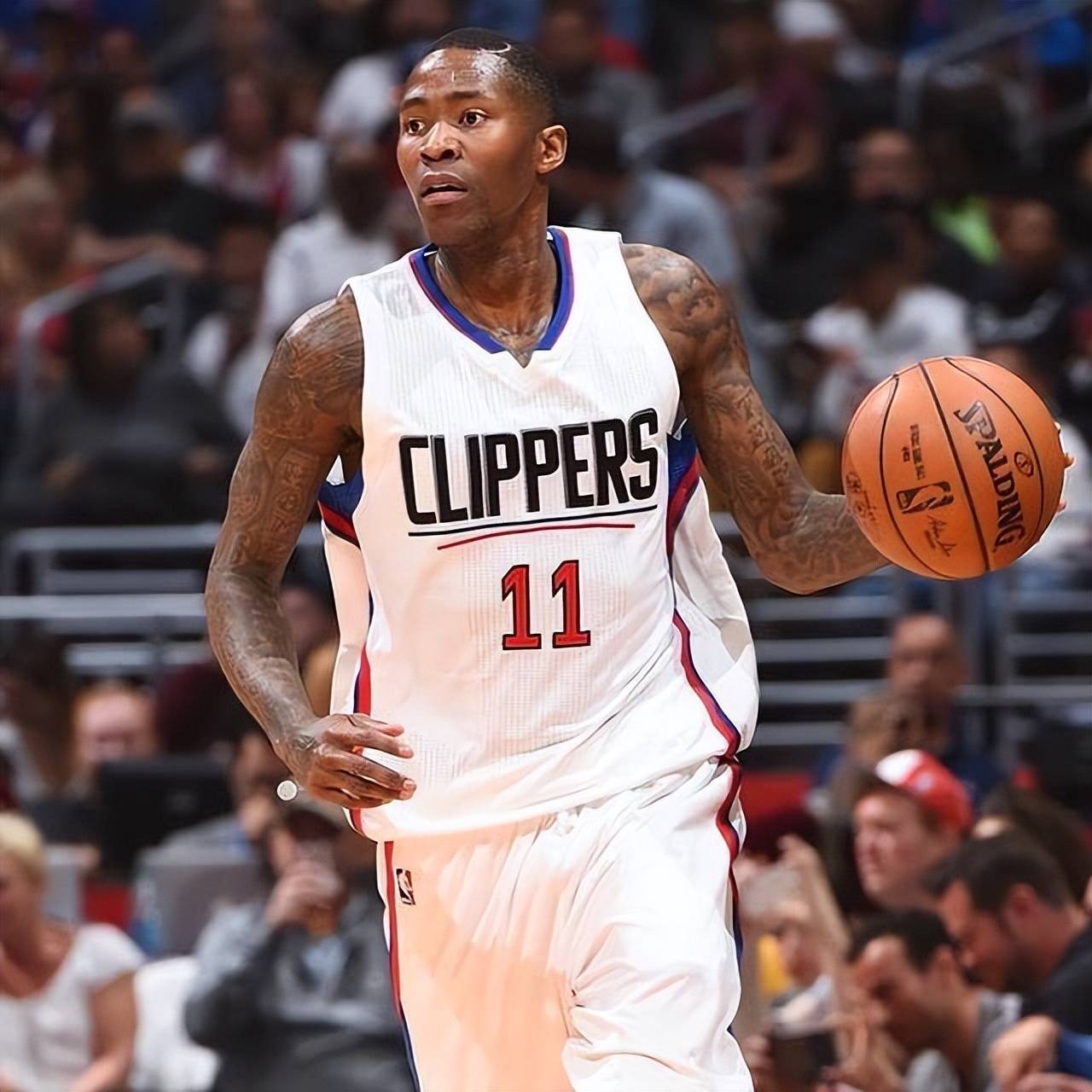 他们随后的 他们随后的