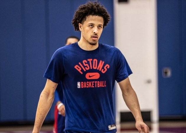 的引导作用 的引导作用